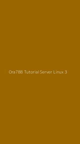 Tampilan Antarmuka Aplikasi Ora788 Tutorial Server Linux - 3