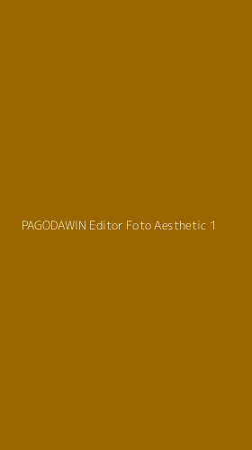 Tampilan Antarmuka Aplikasi Pagodawin Editor Foto Aesthetic - 1