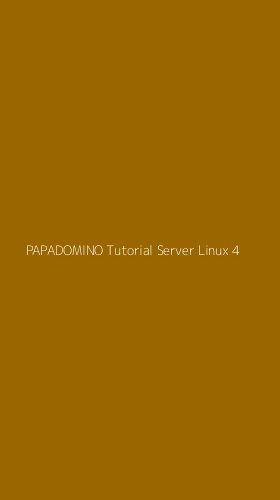 Tampilan Antarmuka Aplikasi Papadomino Tutorial Server Linux - 4