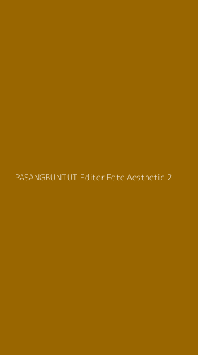 Tampilan Antarmuka Aplikasi Pasangbuntut Editor Foto Aesthetic - 2