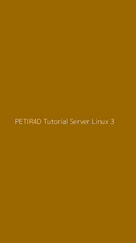 Tampilan Antarmuka Aplikasi Petir4d Tutorial Server Linux - 3