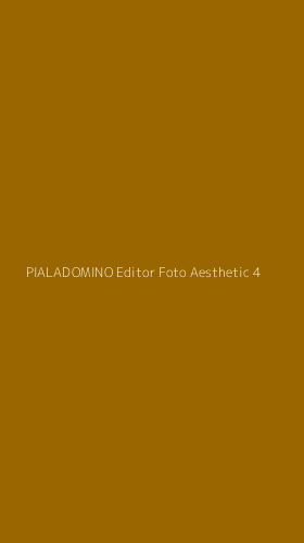Tampilan Antarmuka Aplikasi Pialadomino Editor Foto Aesthetic - 4