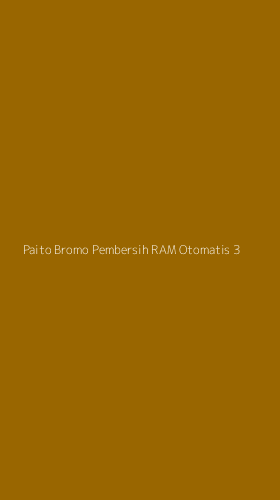 Tampilan Antarmuka Aplikasi Paito Bromo Pembersih Ram Otomatis - 3