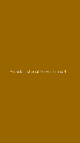Tampilan Antarmuka Aplikasi Pashoki Tutorial Server Linux - 4