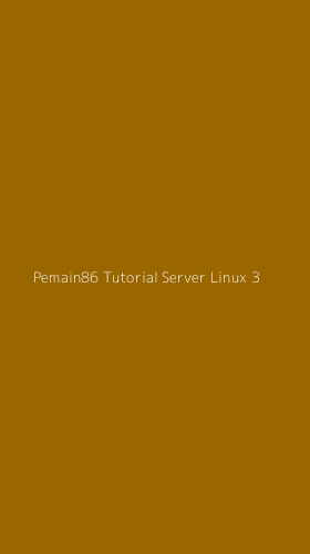 Tampilan Antarmuka Aplikasi Pemain86 Tutorial Server Linux - 3