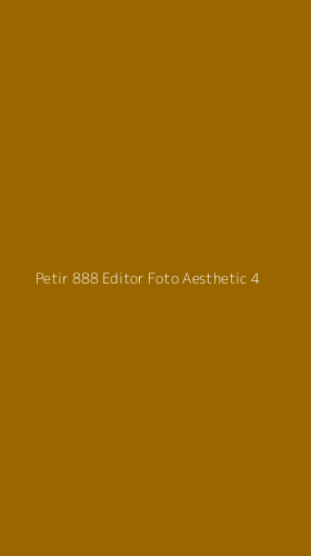 Tampilan Antarmuka Aplikasi Petir 888 Editor Foto Aesthetic - 4