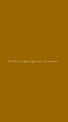 Tampilan Antarmuka Aplikasi Petir303 Cara Main Togel Colok Jitu Pemula - 2