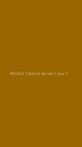 Tampilan Antarmuka Aplikasi Petir62 Tutorial Server Linux - 1