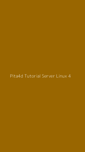 Tampilan Antarmuka Aplikasi Pita4d Tutorial Server Linux - 4