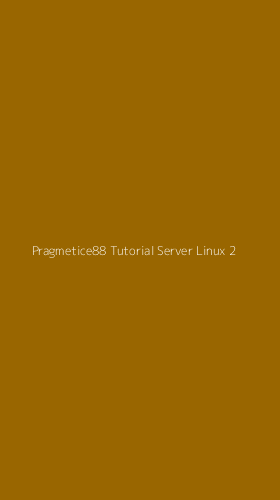 Tampilan Antarmuka Aplikasi Pragmetice88 Tutorial Server Linux - 2
