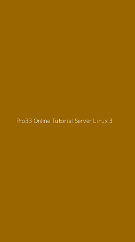 Tampilan Antarmuka Aplikasi Pro33 Online Tutorial Server Linux - 3