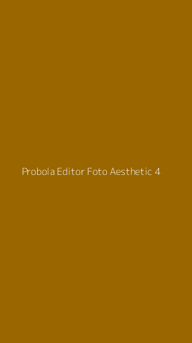 Tampilan Antarmuka Aplikasi Probola Editor Foto Aesthetic - 4