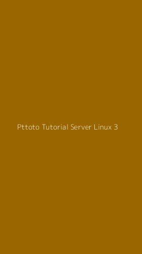 Tampilan Antarmuka Aplikasi Pttoto Tutorial Server Linux - 3