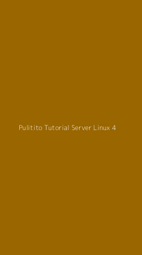 Tampilan Antarmuka Aplikasi Pulitito Tutorial Server Linux - 4