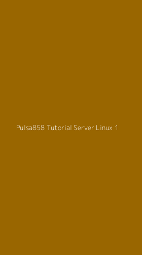 Tampilan Antarmuka Aplikasi Pulsa858 Tutorial Server Linux - 1