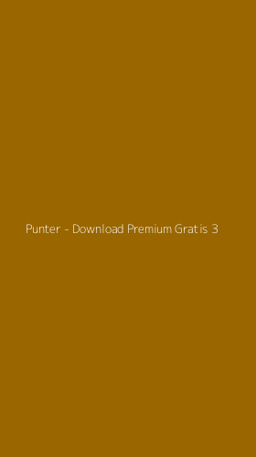 Tampilan Antarmuka Aplikasi Punter - Download Premium Gratis - 3