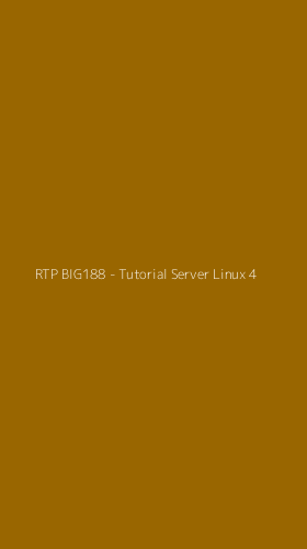 Tampilan Antarmuka Aplikasi RTP BIG188 - Tutorial Server Linux - 4