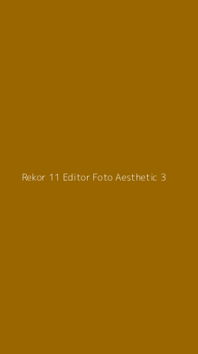 Tampilan Antarmuka Aplikasi Rekor 11 Editor Foto Aesthetic - 3