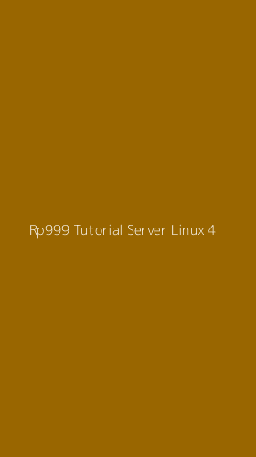 Tampilan Antarmuka Aplikasi Rp999 Tutorial Server Linux - 4