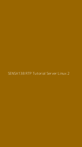 Tampilan Antarmuka Aplikasi Sensa138 Rtp Tutorial Server Linux - 2