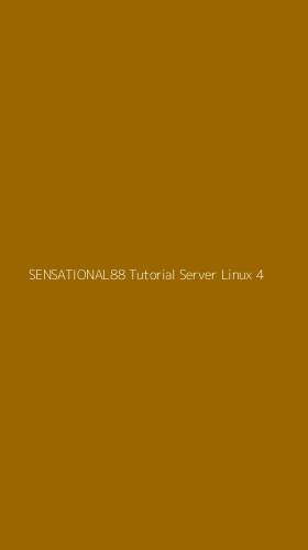 Tampilan Antarmuka Aplikasi Sensational88 Tutorial Server Linux - 4