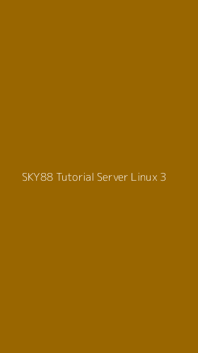 Tampilan Antarmuka Aplikasi Sky88 Tutorial Server Linux - 3