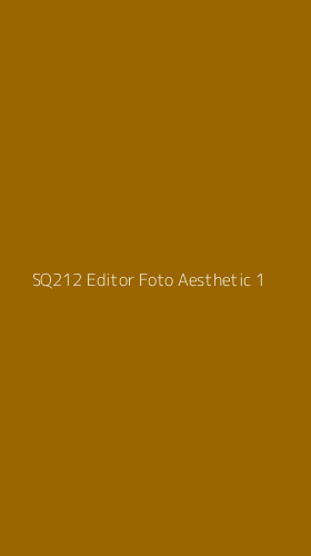 Tampilan Antarmuka Aplikasi Sq212 Editor Foto Aesthetic - 1