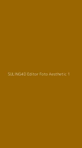 Tampilan Antarmuka Aplikasi Suling4d Editor Foto Aesthetic - 1