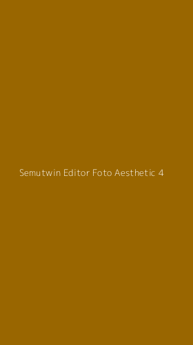 Tampilan Antarmuka Aplikasi Semutwin Editor Foto Aesthetic - 4