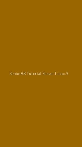 Tampilan Antarmuka Aplikasi Senior88 Tutorial Server Linux - 3