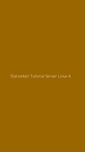 Tampilan Antarmuka Aplikasi Stationbet Tutorial Server Linux - 4