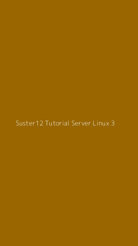 Tampilan Antarmuka Aplikasi Suster12 Tutorial Server Linux - 3