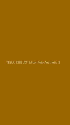 Tampilan Antarmuka Aplikasi Tesla 338slot Editor Foto Aesthetic - 3