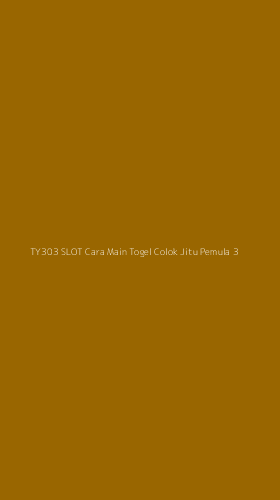 Tampilan Antarmuka Aplikasi Ty303 Slot Cara Main Togel Colok Jitu Pemula - 3