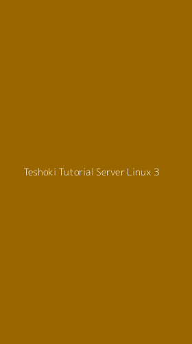 Tampilan Antarmuka Aplikasi Teshoki Tutorial Server Linux - 3