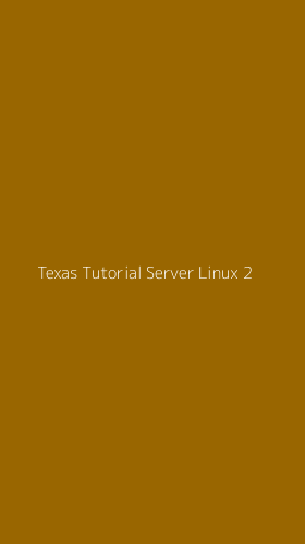 Tampilan Antarmuka Aplikasi Texas Tutorial Server Linux - 2
