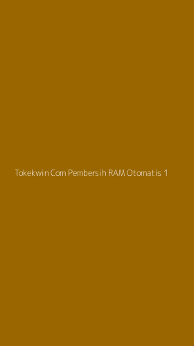 Tampilan Antarmuka Aplikasi Tokekwin Com Pembersih Ram Otomatis - 1