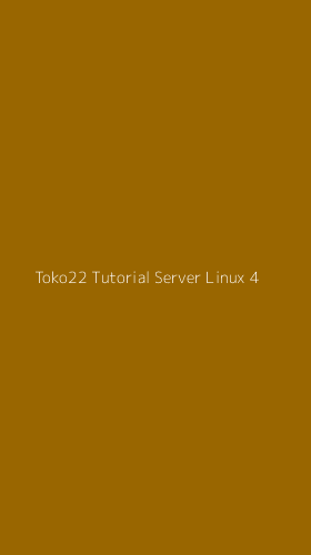 Tampilan Antarmuka Aplikasi Toko22 Tutorial Server Linux - 4