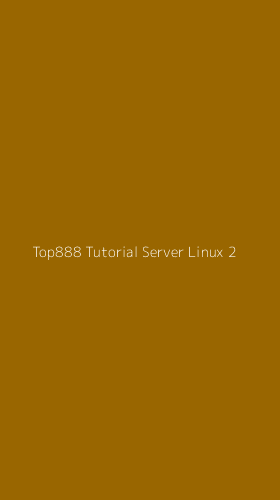 Tampilan Antarmuka Aplikasi Top888 Tutorial Server Linux - 2