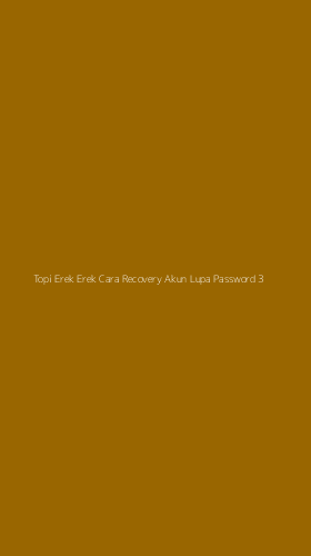 Tampilan Antarmuka Aplikasi Topi Erek Erek Cara Recovery Akun Lupa Password - 3