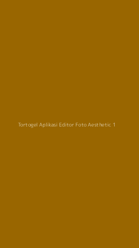 Tampilan Antarmuka Aplikasi Tortogel Aplikasi Editor Foto Aesthetic - 1