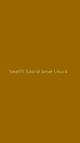 Tampilan Antarmuka Aplikasi Tuna555 Tutorial Server Linux - 4