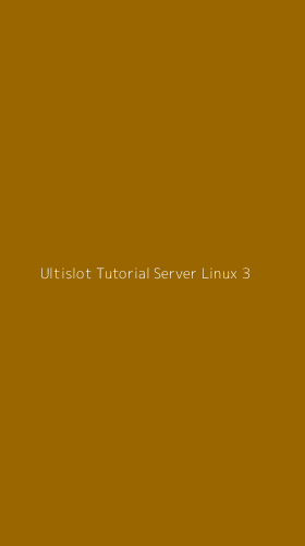 Tampilan Antarmuka Aplikasi Ultislot Tutorial Server Linux - 3