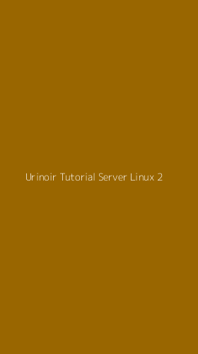 Tampilan Antarmuka Aplikasi Urinoir Tutorial Server Linux - 2