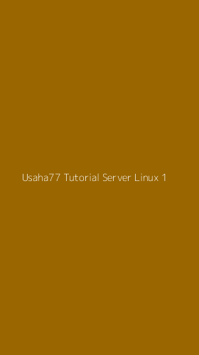 Tampilan Antarmuka Aplikasi Usaha77 Tutorial Server Linux - 1