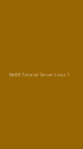 Tampilan Antarmuka Aplikasi We88 Tutorial Server Linux - 1