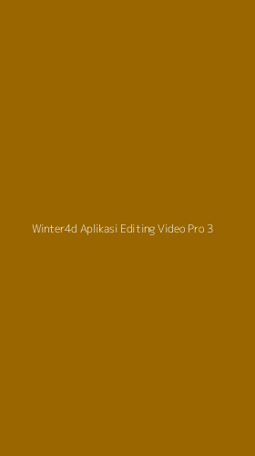 Tampilan Antarmuka Aplikasi Winter4d Aplikasi Editing Video Pro - 3