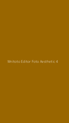 Tampilan Antarmuka Aplikasi Wnitoto Editor Foto Aesthetic - 4
