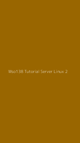 Tampilan Antarmuka Aplikasi Wso138 Tutorial Server Linux - 2