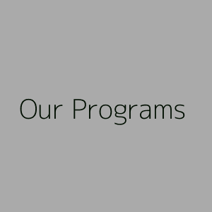 Our Programs Square placeholder image 300px